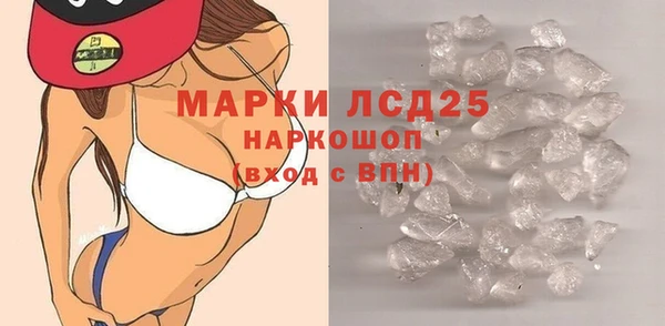 прущий лед Новозыбков