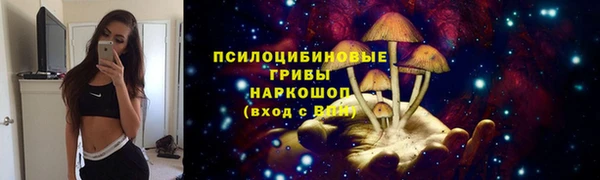 прущий лед Новозыбков