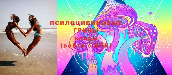трава Новодвинск