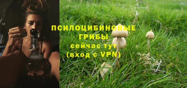 круглые Няндома