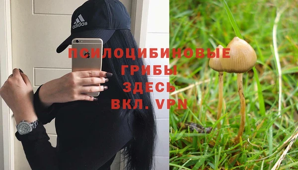 трава Новодвинск