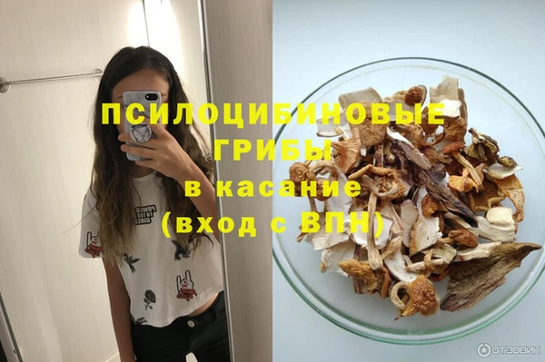 трава Новодвинск
