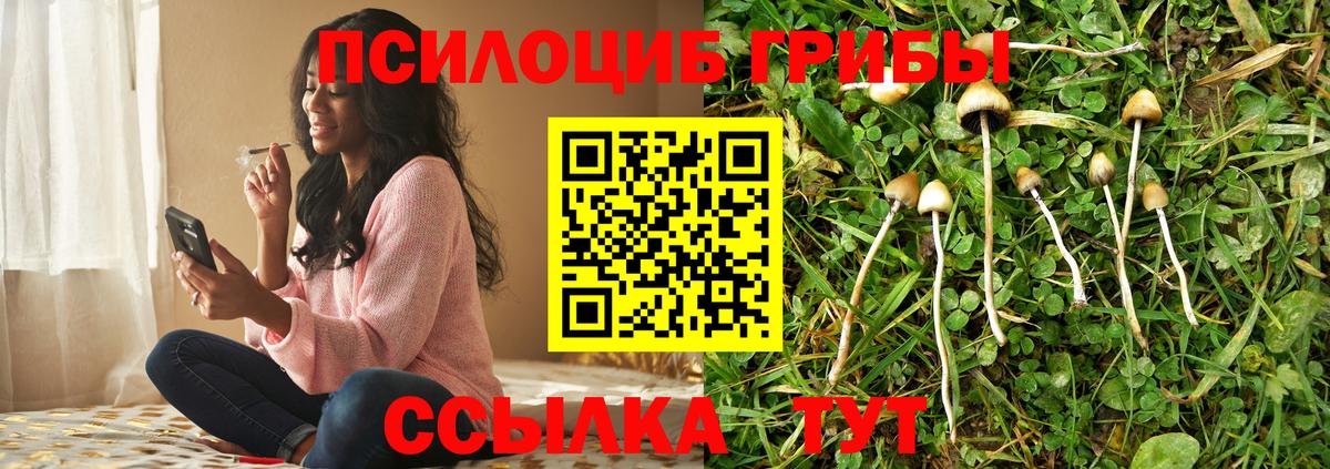 Галлюциногенные грибы GOLDEN TEACHER Краснотурьинск