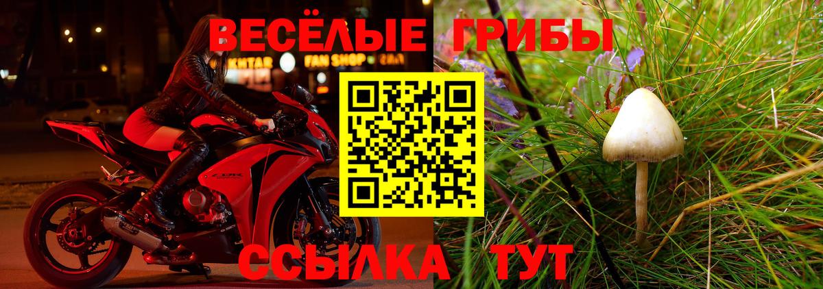 Краснотурьинск  Псилоцибиновые грибы мицелий  Вход с VPN 